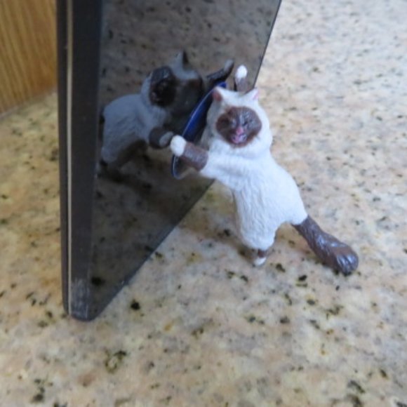 Himalayan CAT Cell Phone Grip Stand (F14) - Picture 1 of 3